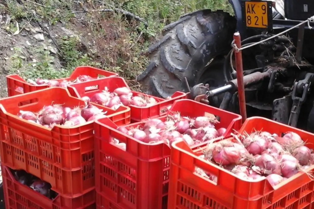 La ferme