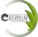 Caterpillar Project
