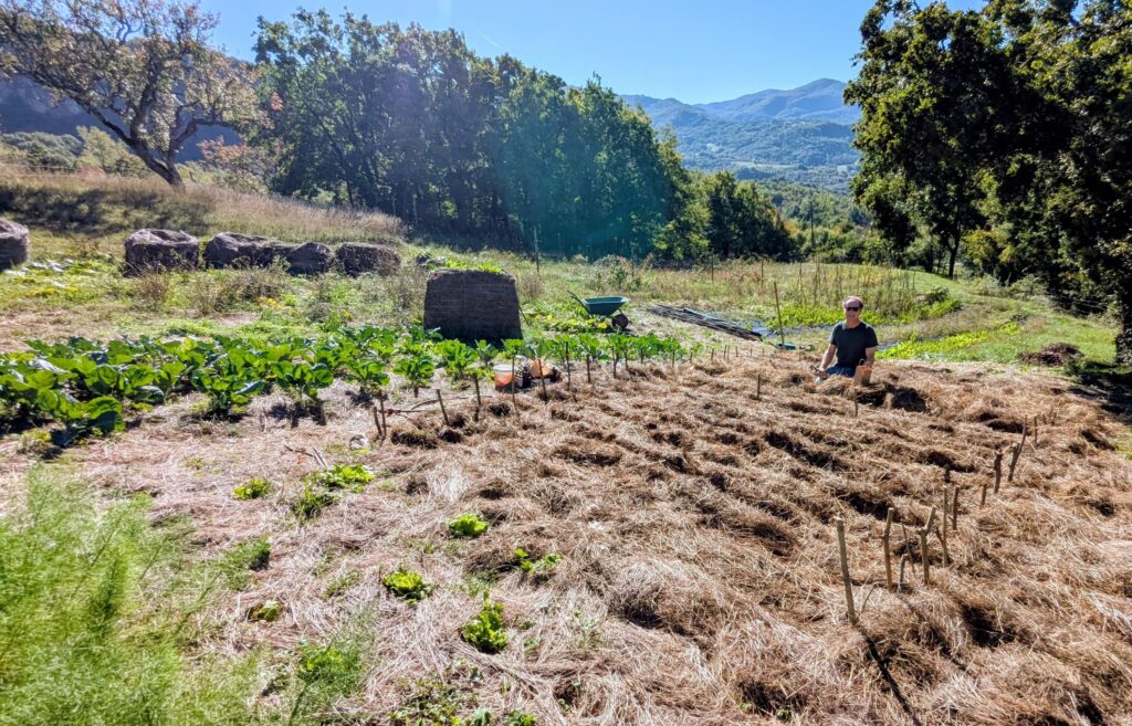 La ferme