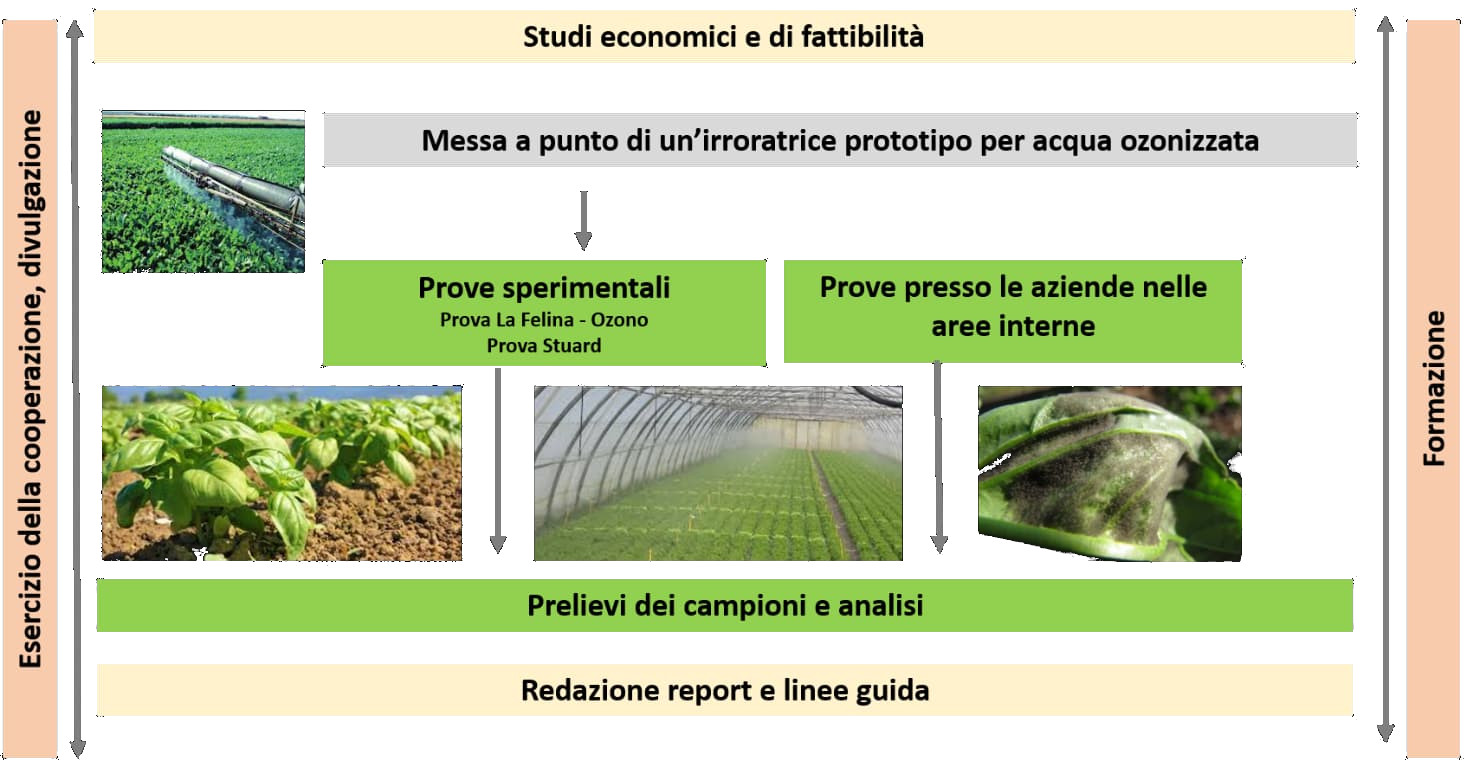 PESTO Project infographic