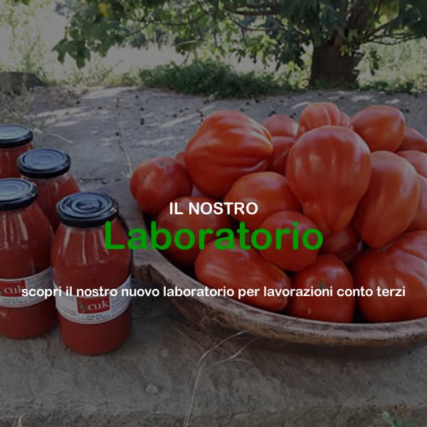 Ca' d'Alfieri - Laboratorio