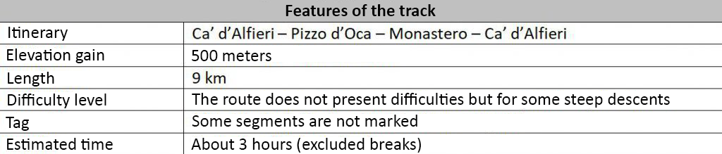 Features of the track